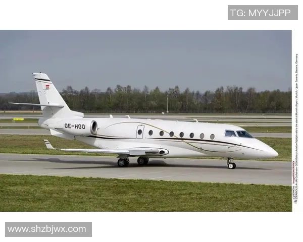 足球明星霸机图揭秘他们的私人飞机与奢华生活方式的背后故事